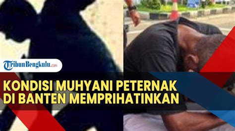 Kondisi Muhyani Peternak Di Banten Memprihatinkan Usai Dijadikan