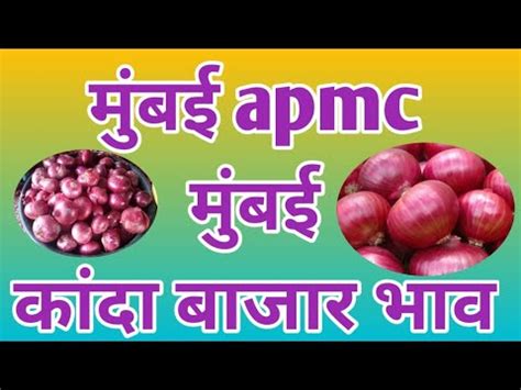 Live Apmc L Live Mumbai Apmc Washi Market Onion