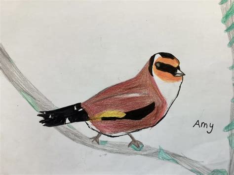 Goldfinch Amy Banton Biggies