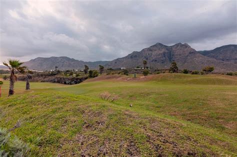 Premium Photo Amazing View Of Green Lawn Of A Golf Course With Palm