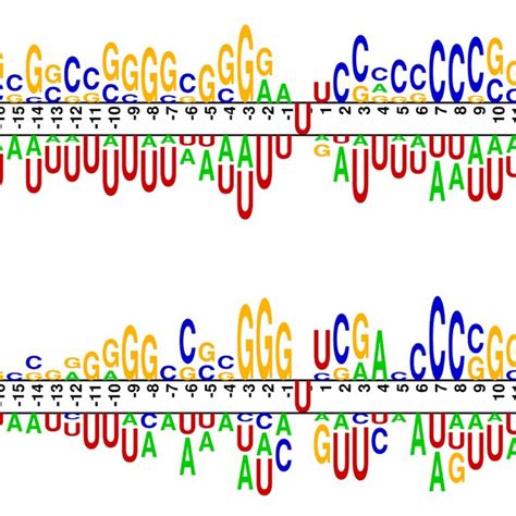 Nucleotide composition analysis. The panel above position 0 represents ...