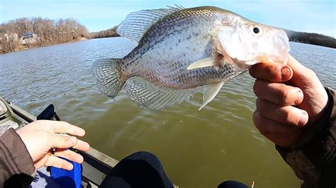 Late Winter Brush Pile Fishing Youtube