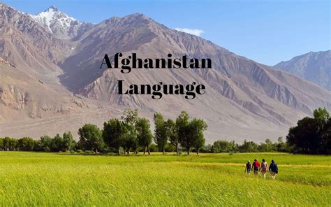 Afghanistan language - WORLD INFO