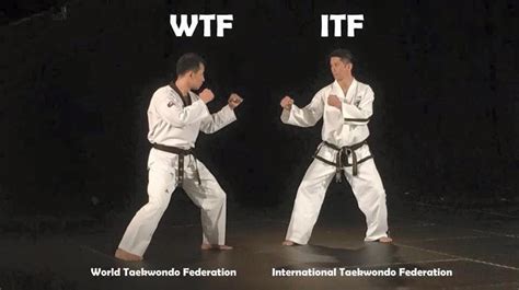 Taekwondo World Taekwondo Kumite Shotokan Karate Martial Arts