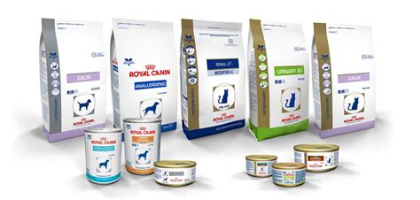 Корм Royal Canin (Роял Канин) для кошек: сухой, влажный, состав, линейка