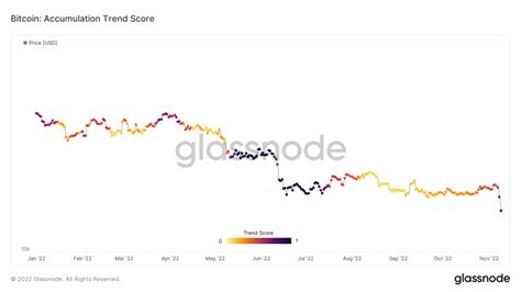 Research In Spite Of Ftx Catastrophe Bitcoin Whales Lead Aggressive