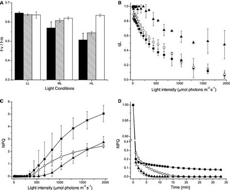 Photosystem Ii Functionality Monitored With Pam Fluorimetry A Maximum