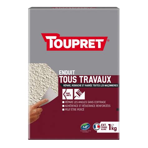 TOUPRET Toupret Tous travaux poudre 3 en 1 extérieur 1 kg Répare