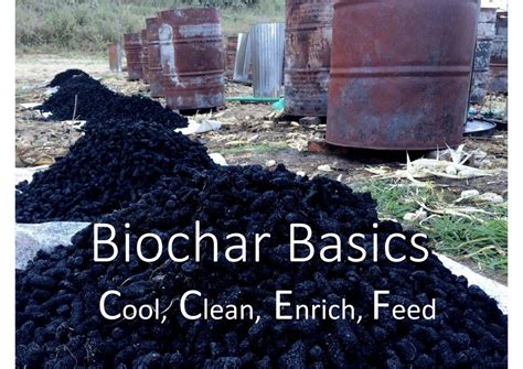 Biochar Basics