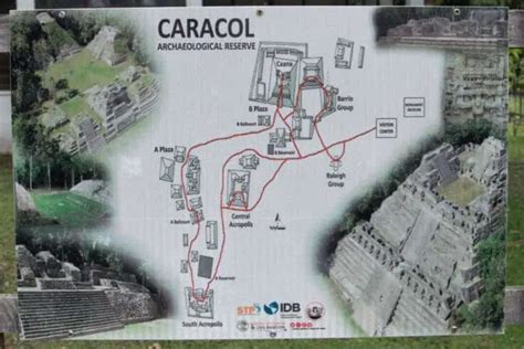 Caracol Mayan Ruins in Belize: Unveiling Forgotten Legends - Belize at ...