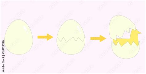 Egg hatching three stages line images. Stock Vector | Adobe Stock