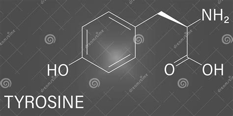 Tyrosine Or L Tyrosine Tyr Y Amino Acid Molecule Skeletal Formula