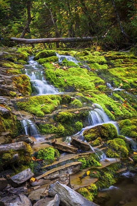 Cascading Waterfall Stock Photo Image Of Quebec Moss 103099938