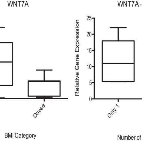 Paratubal Cyst Cohort Baseline Characteristics on the Basis of BMI ...