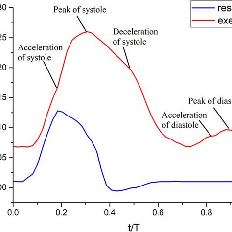 Velocity Inlet Profile Under Rest And Exercise Conditions Download Scientific Diagram