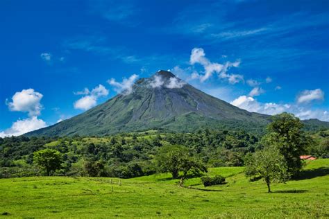 Arenal Volcano Night Walk – Wildlife Tours