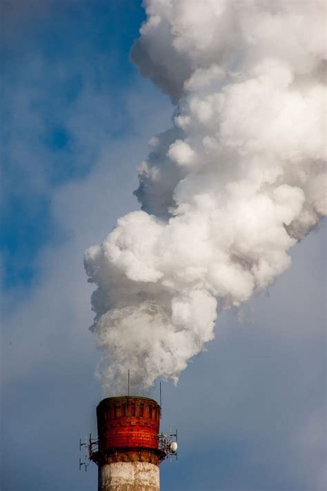 La Contaminación Mata A 9 Millones De Personas Al Año Según Una