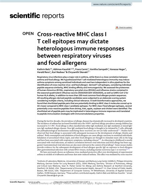 Pdf Cross Reactive Mhc Class I T Cell Epitopes May Dictate