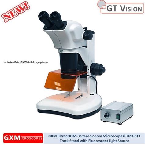 Fluorescent Stereo Microscope Leica Mz F Gt Vision