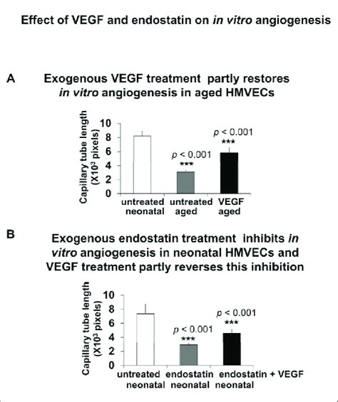 Treatment With Exogenous Vegf Partly Restores In Vitro Angiogenesis In