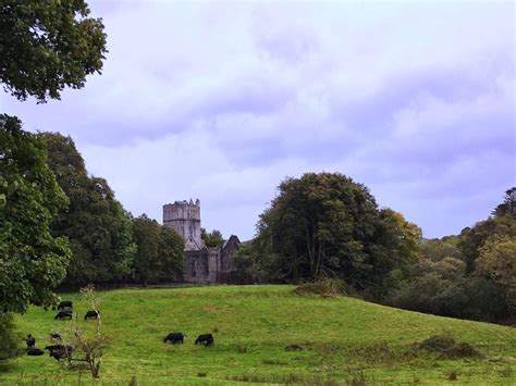 Top 8 Things to Do When You Visit Killarney National Park - Two Traveling Texans