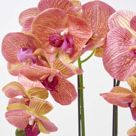 HOMESCAPES Künstliche pfirsichfarbene Phalaenopsis Orchidee im grauen