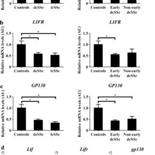 Immunohistochemistry Of LIF LIFR And Gp130 In The Skin Of SSc