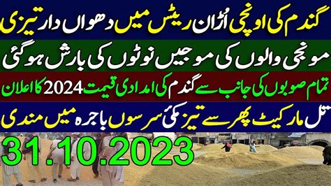 Munji Wheat Till Makki New Rates 2023 Dhan Ka Rate Jawar SarSon Galla