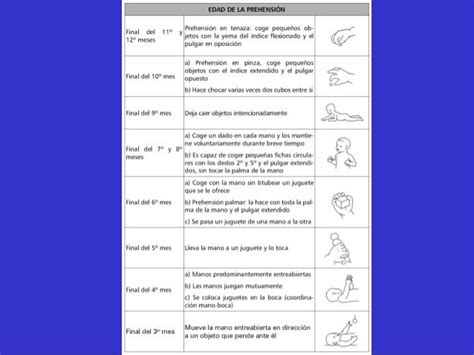 Escala Desarrollo Psicomotor Brunet Lezyne Pdf Punkpase