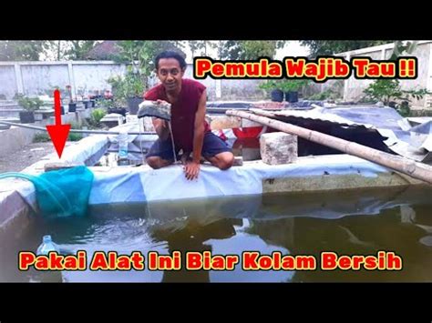 JANGAN DIANGGAP SEPELE Perawatan Air Kolam Larva Lele Cara