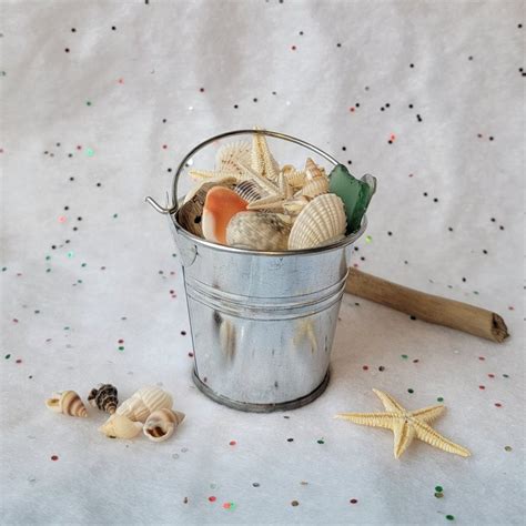 Bucket Of Shells Decor Cute Coastal Ornament Knick Knack Ocean Beach