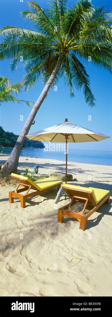 Sandy Beach Palm Tree Deckchairs Nang Thong Beach Khao Lak Andaman