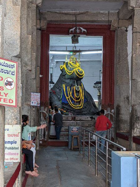 Destinations Bull Temple Bangalore Basavanagudi Timings Entry Fees And Kadlekai Parishe