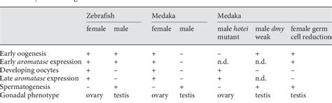 Table 1 From Comparative Aspects Of Gonadal Sex Differentiation In