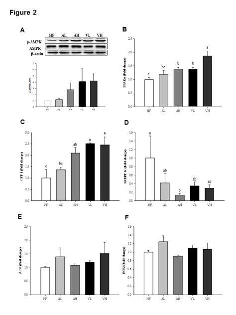 Effects Of Pomegranate Vinegar Or Acetic Acid Supplementation On The