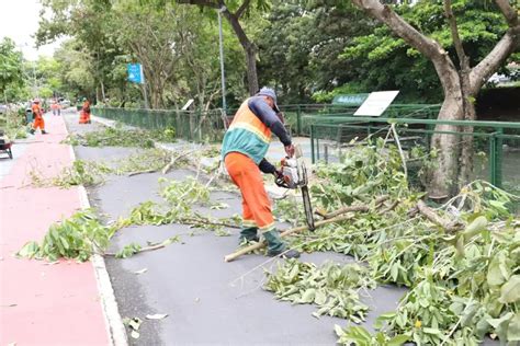 Prefeitura De Manaus Realiza Poda De árvores No Passeio Do Mindu