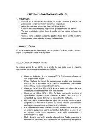 Elaboracion De Ladrilloss PDF