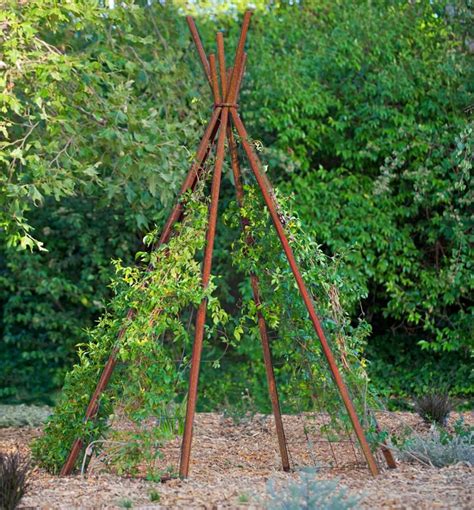 Annabel Garden Tipi Garden Teepee Modern Garden Teepee Trellis Tipi