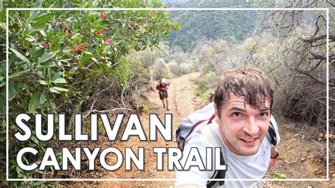 Hiking Sullivan Canyon Trail Los Angeles Youtube