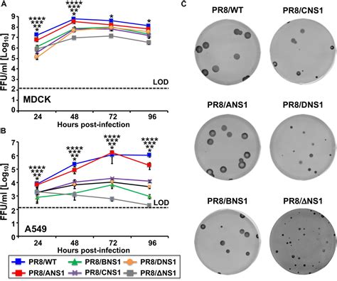 Frontiers Functional Characterization And Direct Comparison Of