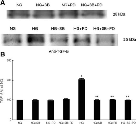 ERK Or P38 Mediates High Glucose Induced TGF Expression In