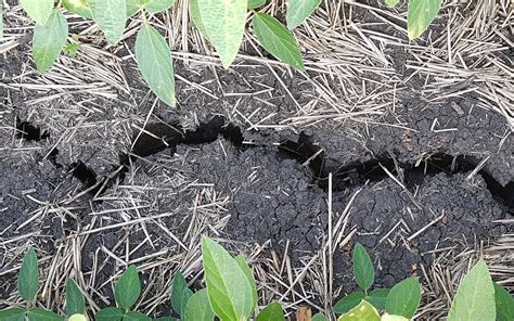 Working with a rapidly-depleted soil moisture bank account ...