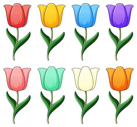 Tulip Flowers Clip Art Images Best Flower Site