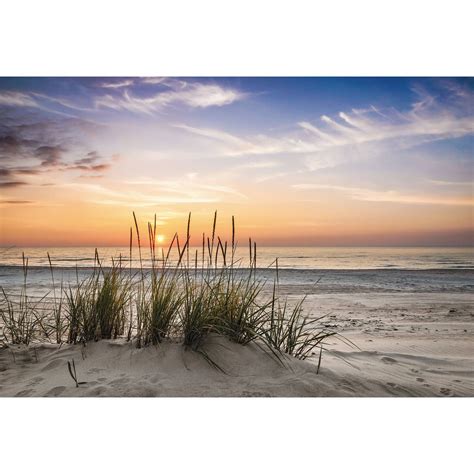 Fototapete Düne Am Strand Bei Sonnenuntergang Wall Artde