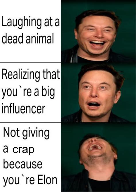 Elon Musk Btc Meme : The best elon musk memes :) Memedroid / Buy low ...