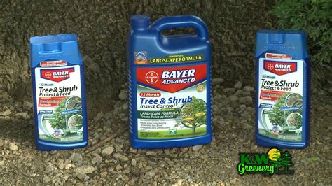 Saving Your Ash Tree From Emerald Ash Borer Youtube