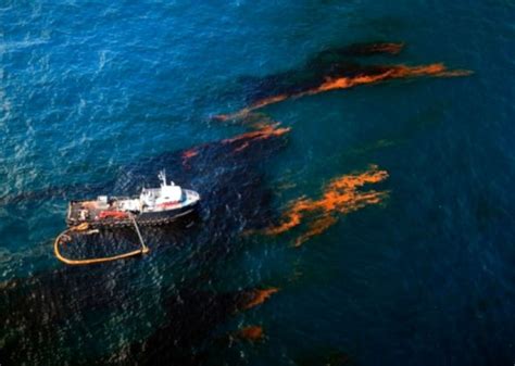 Petrolio In Mare In Canada Il Peggior Disastro Ambientale Del Paese