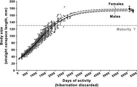 Estimated Mean Solid Line And Sex Specific Dashed Lines Growth Download Scientific Diagram