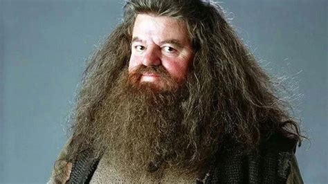 Scottish Actor Robbie Coltrane Who Played Hagrid In Harry Potter Dies