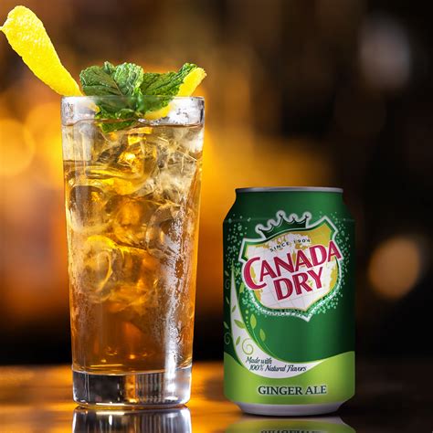 28 Off On Canada Dry 24x 330ml Ginger Ales OneDayOnly